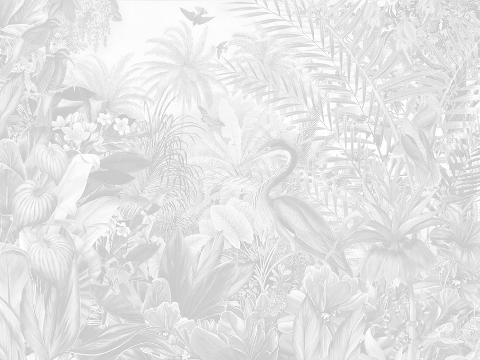 vitalina_Backround_1_edited.jpg