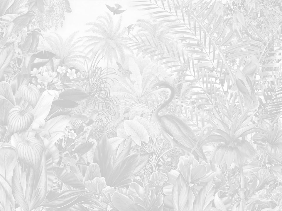 vitalina_Backround_1_edited.jpg