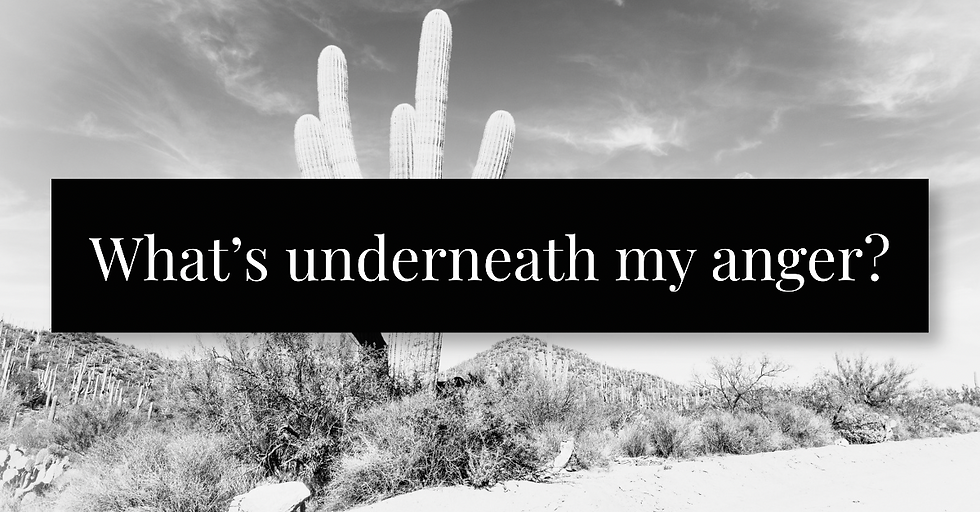 cactus in desert with text what's underneath my anger
