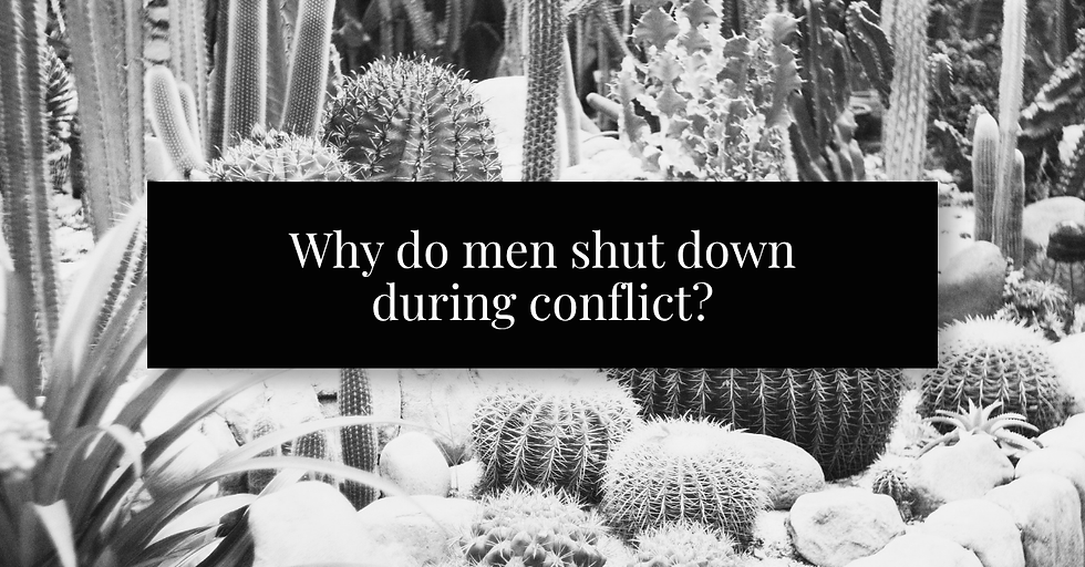 Desert scenery with text why do men shut down during conflict