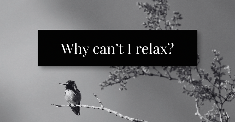 Hummingbird resting on a branch with text why can't I relax?