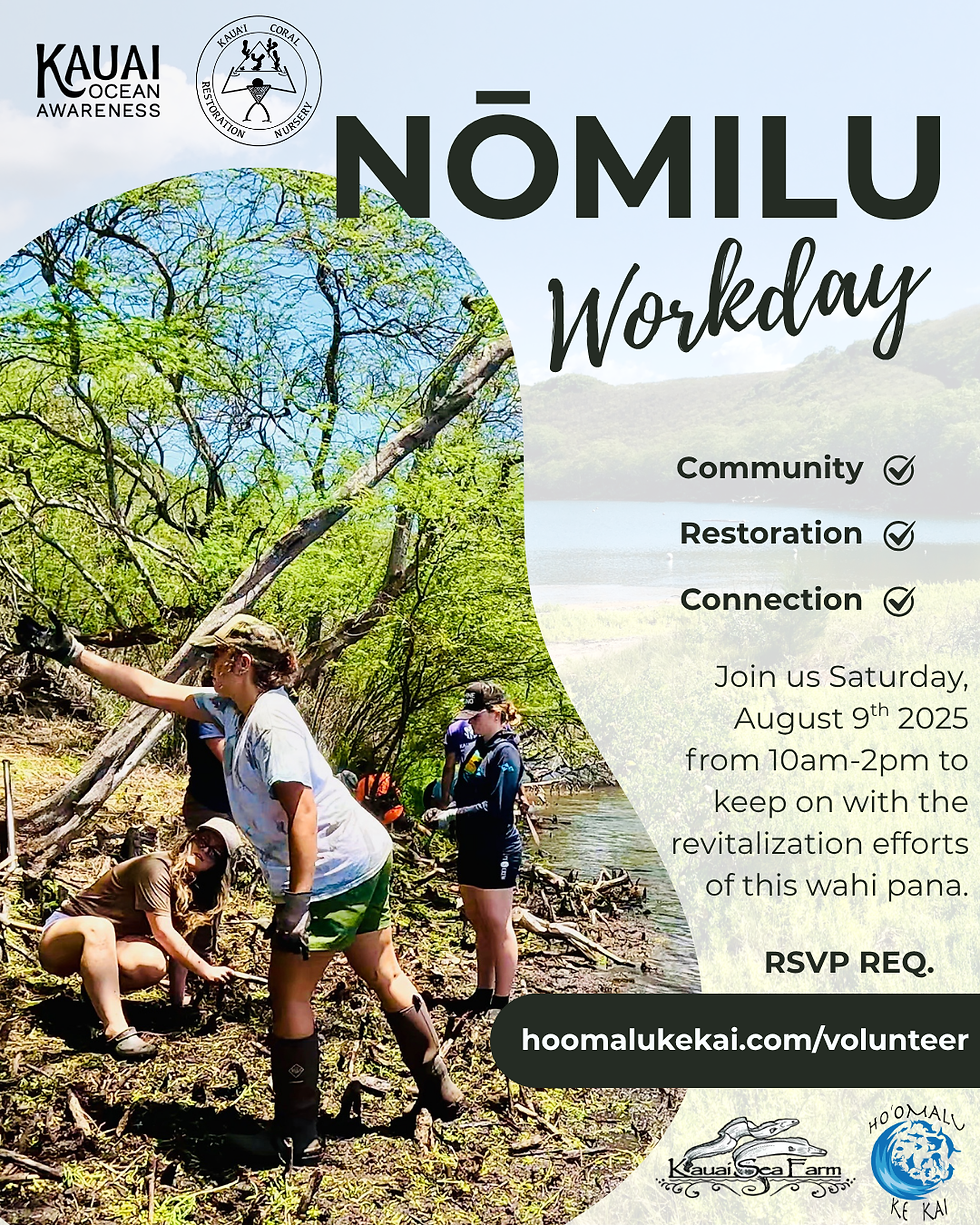 2nd Saturday Nōmilu Restoration Community Workday August 2025