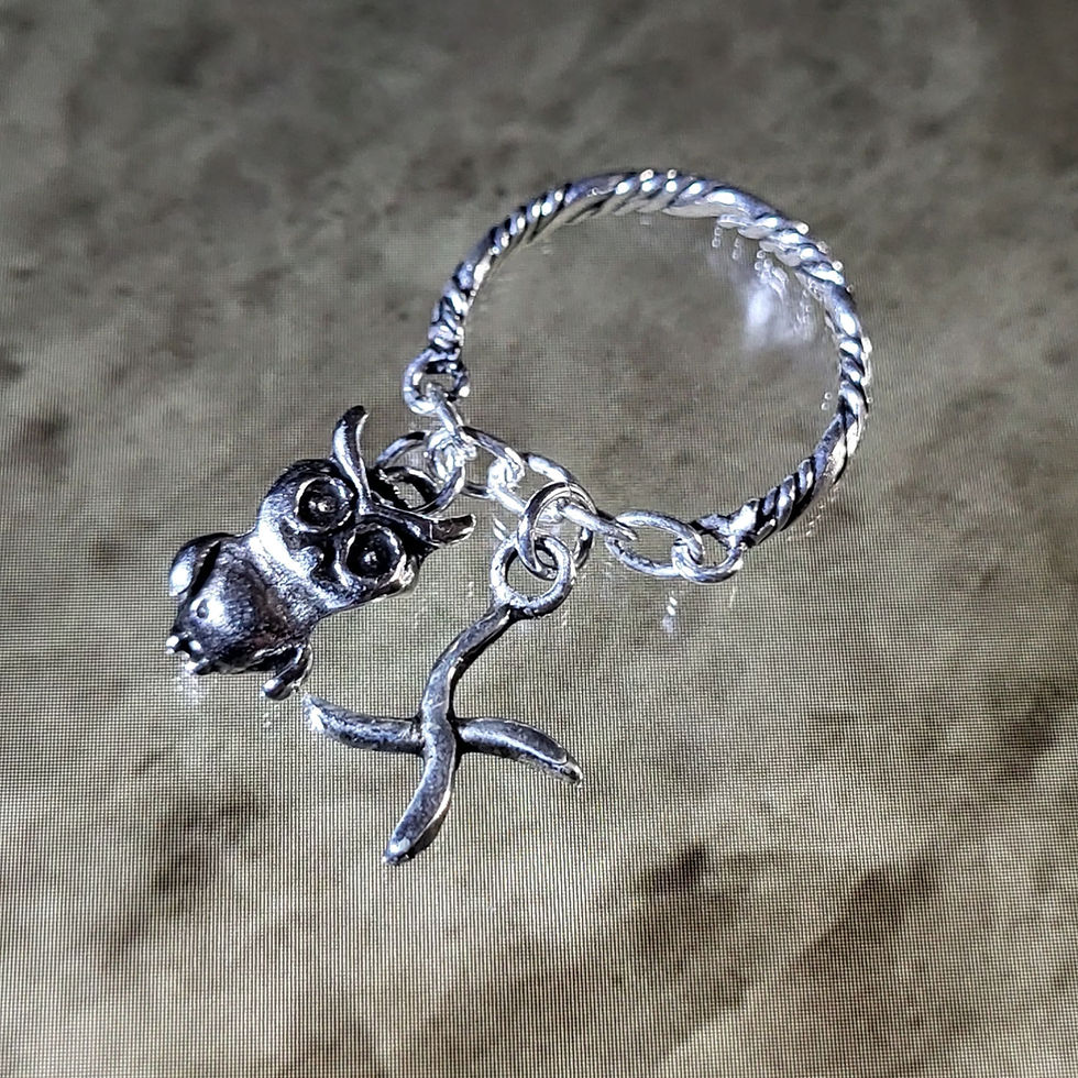 Bague hibou/croix en argent 925‰