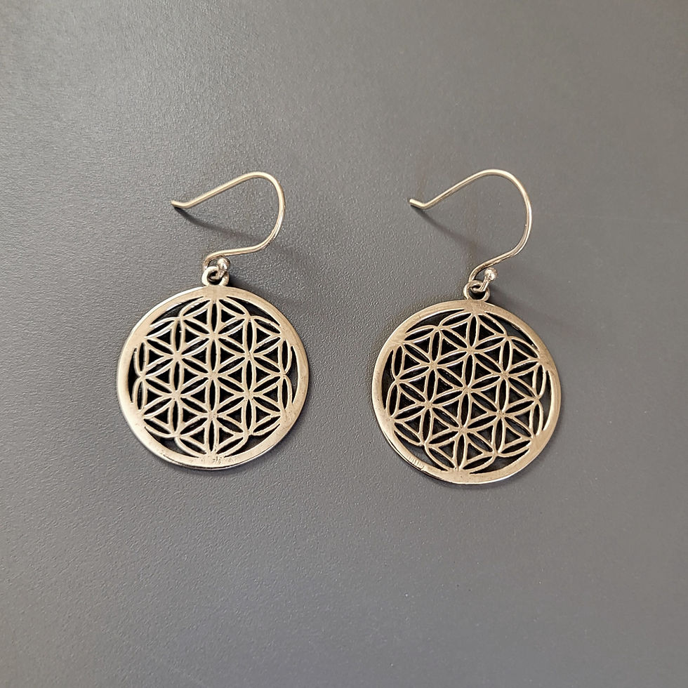 Boucles d'oreilles médailles fleur de vie en argent 925‰/vue de face
