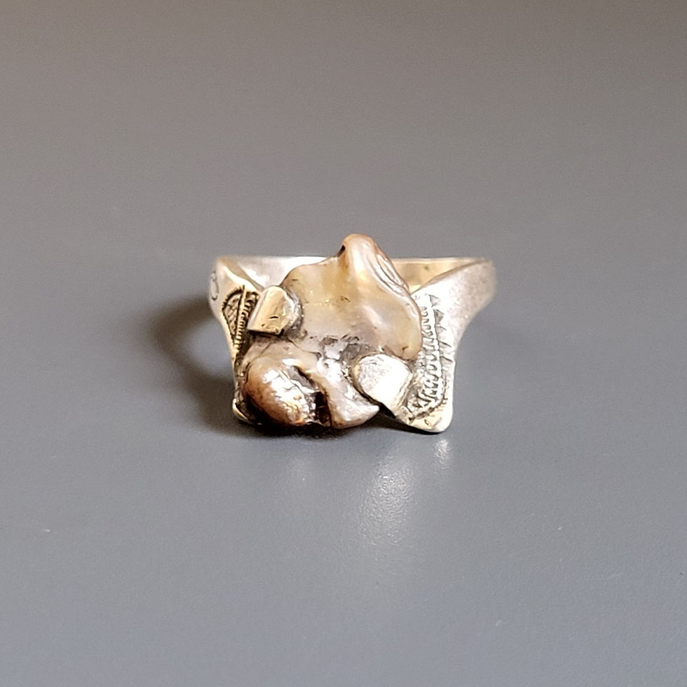 Miniature : Bague touareg en argent 925‰ et coquillage.