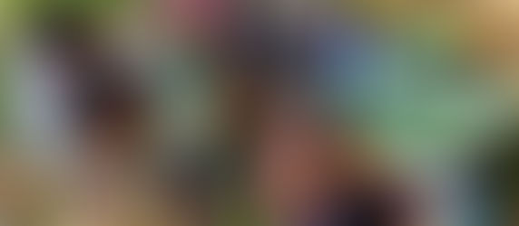 Culinary Distinction between Adisifo and Afarfo