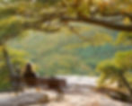 Girl on Bench Crop.jpg