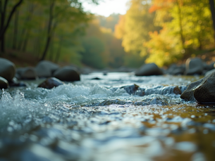 Healing from Narcissistic Abuse: A Guide for Survivors