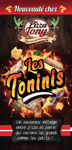 fly toninis-2.bmp