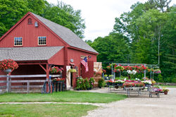 garden shop