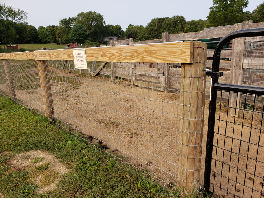 Getting Ready for Your New Donkey