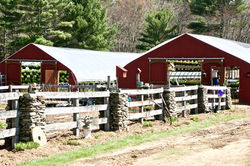 old greenhouses get new life