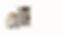 Untitled design-2.png
