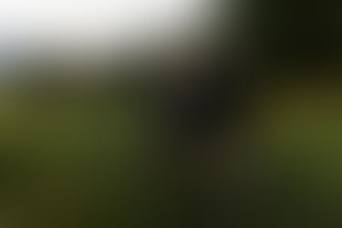 Couple in a green mountain valley for engagement photos