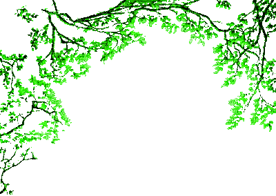 e0493044451489424e5758c969a95f9a.gif