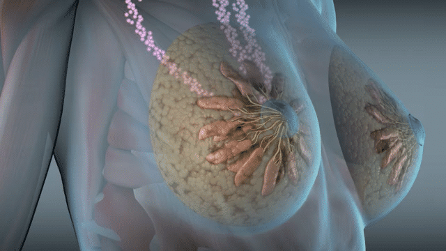 breast feeding HD-low