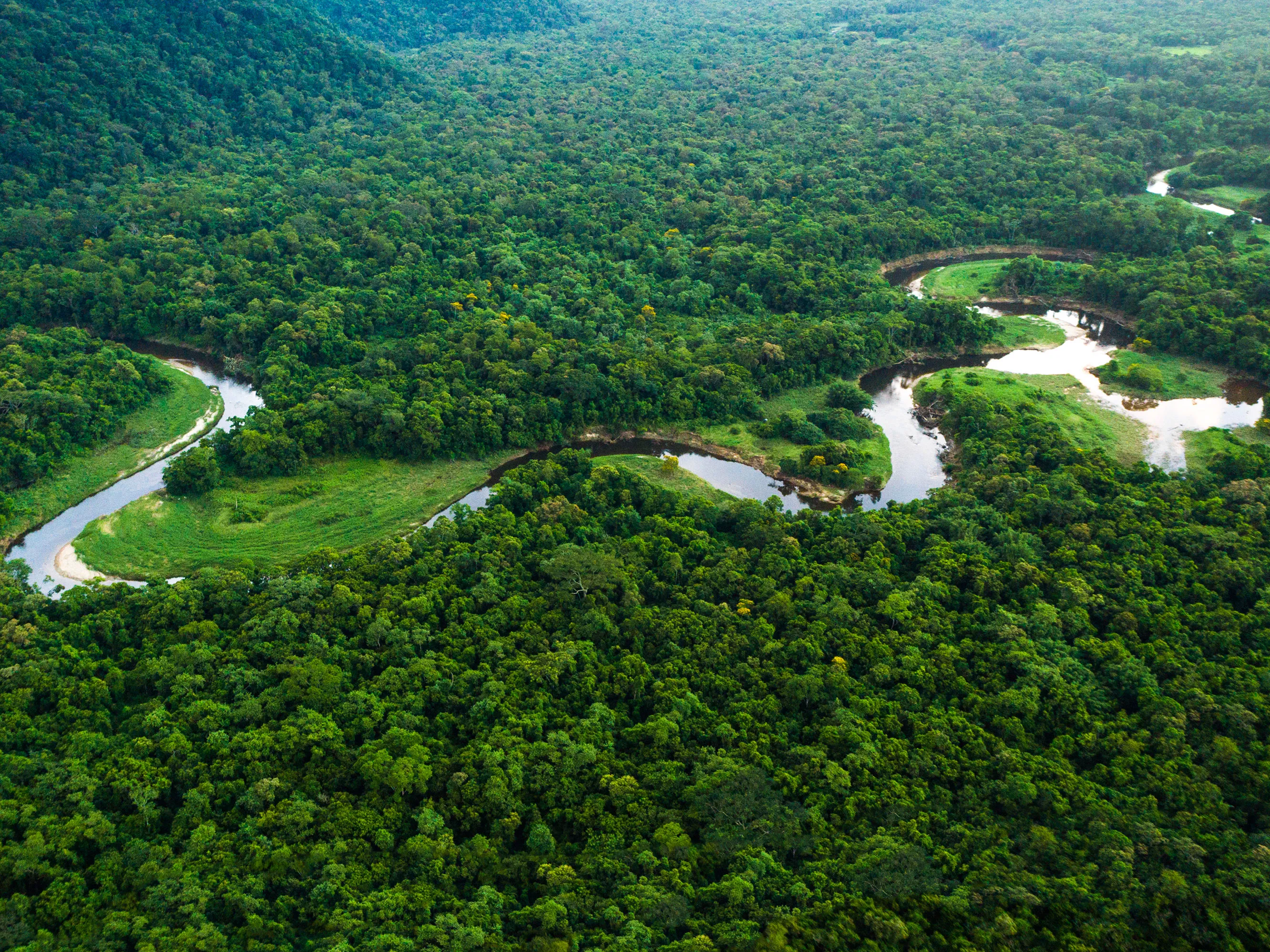 ayahuasca healing retreat Iquitos peru
