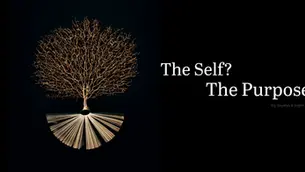 The Quest: A Search for the True Self and Purpose