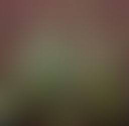 How the Work of Wendell Berry Formed Me Into Who I Am Today—Lore Wilbert