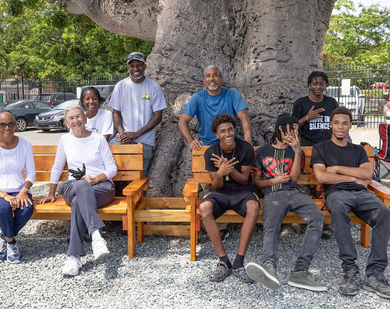 Christiansted Baobab Tree Community Enhancement Project