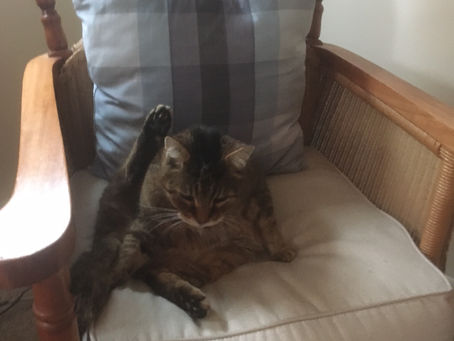 Reducing The Clutter