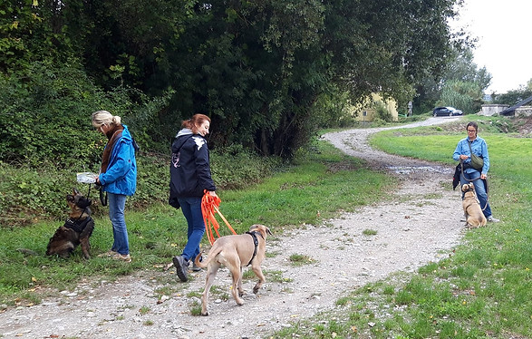 Educateur canin Drôme