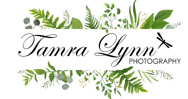 tamralynnphotography-baselogo (2) (2).png