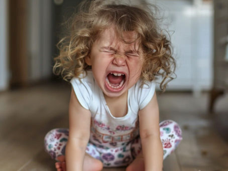 The Gift of an Ordinary Meltdown...