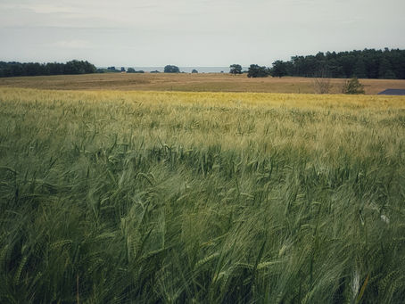 Goodbye June