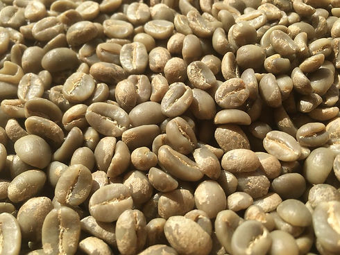 Fully washed Green Arabica Coffee Beans.jpeg