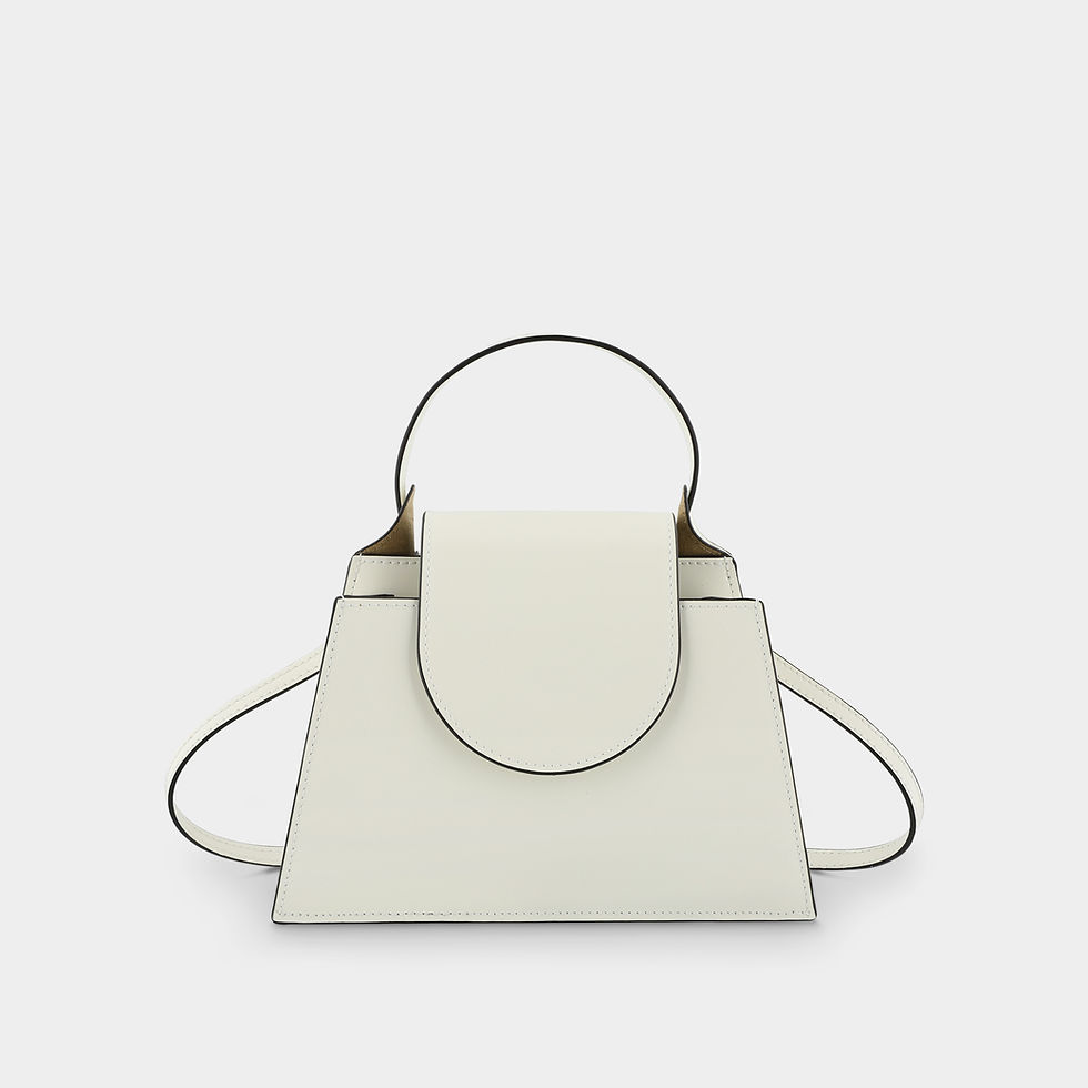 Zarina Handbag