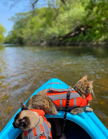 piper ripley kayak.jpg