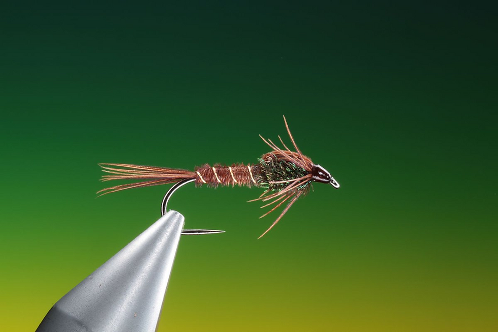 Fly Tying at American Legion Hall
