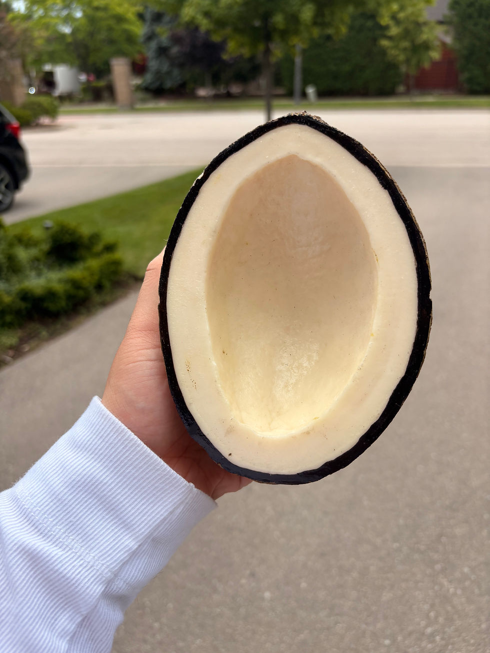 Thumbnail: Coconut Half 