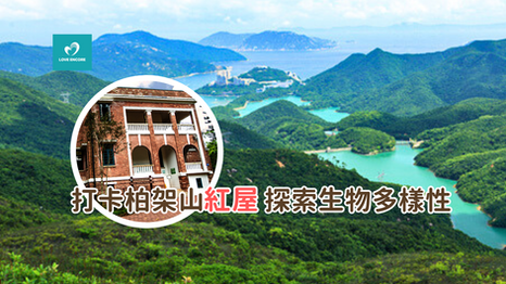 鰂魚涌起步 打卡自然教育中心：柏架山道自然徑