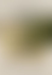 Tealby Church Christmas Eve Service - 8pm Wednesday 24th December