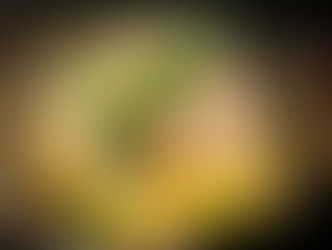 Chicken and Zoodles in Sweet Corn Sauce