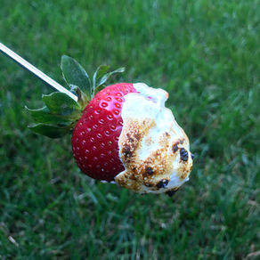 Bonfire S'Moreberries