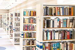 Library Bookshelves