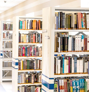 Library Bookshelves
