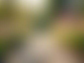 Navigating Relationships: Psychoanalysis for Women’s Growth