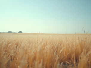 Building Self-Confidence: Women’s Path to Clarity