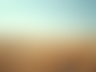 Building Self-Confidence: Women’s Path to Clarity