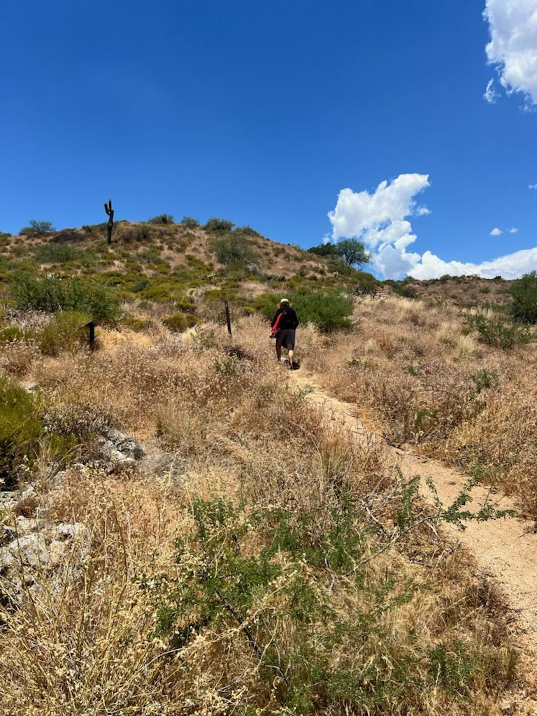 Scottsdale, AZ