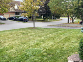 Spring Cleanup - Stouffville Lawn Care
