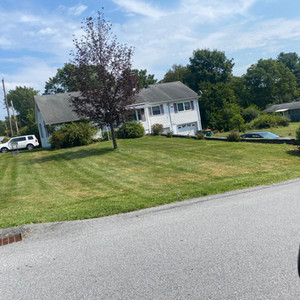 Property Maintenance and Landscape Design