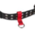 Thumbnail: GRIPPS H01142 – Belt-Loop Anchor