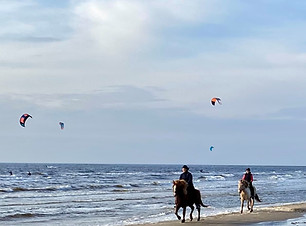 Islandshästar på stranden-2.jpg