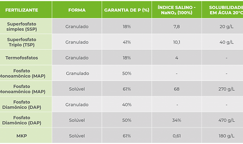 31061A-6-tabela-caracteristicas-fosforo-640x351-1.png