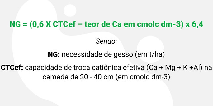 Imagem 14-08-2024 às 17.24.jpeg